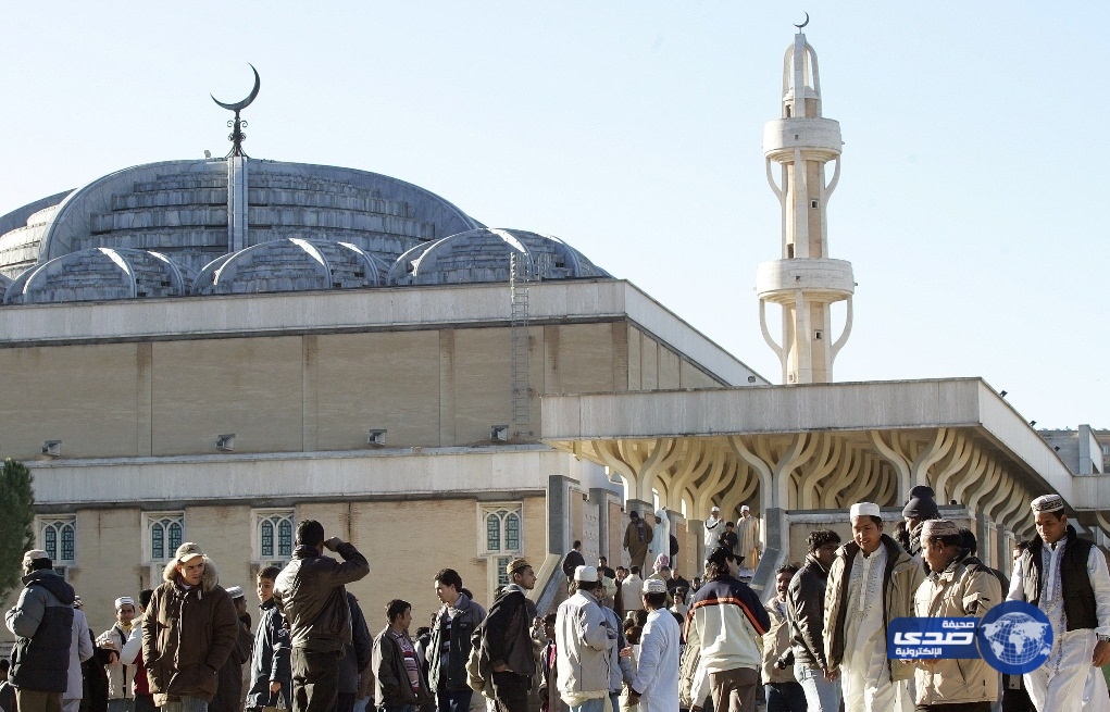 هندوس متطرفون يلقون لحوم الخنزير في مسجد بولاية هريانة