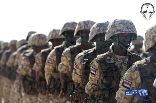 الإمارات: رعد الشمال مؤشر للجدية والحسم