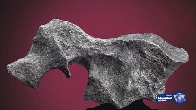 مزاد لبيع “نيازك” بسعر 3.4 مليون جنيه إسترليني