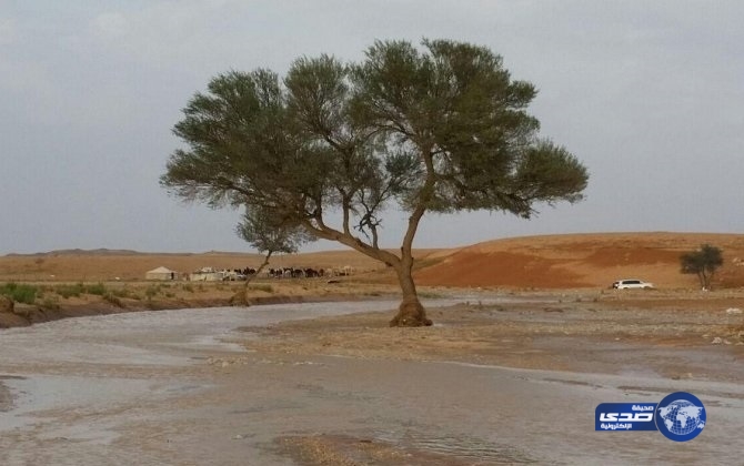 جريان وادي الثمامة شرق الرياض