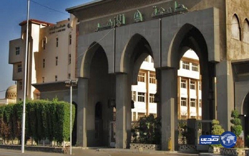 ضبط طبيب إخواني بحوزته أسلحة نارية وبيضاء