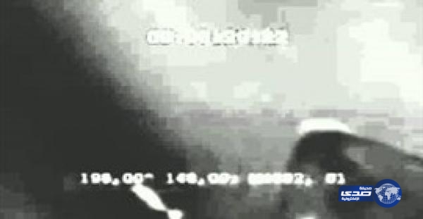 بالفيديو.. ظهور مخلوق غامض يسبح في مياه القارة القطبية الجنوبية