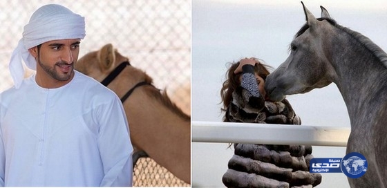 الشيخ مهتم بالإبل والشيخة سارة تهوى ركوب الخيل !