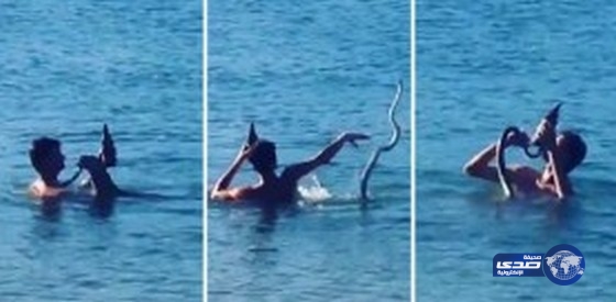 بالفيديو.. لقطات مثيرة لرجل يسبح مع ثعبان في المحيط