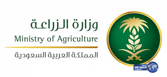 زراعة القريات تدعو (56) مزارعاً للرفع بقراراتهم الزراعية لإصدار تملك لأراضيهم