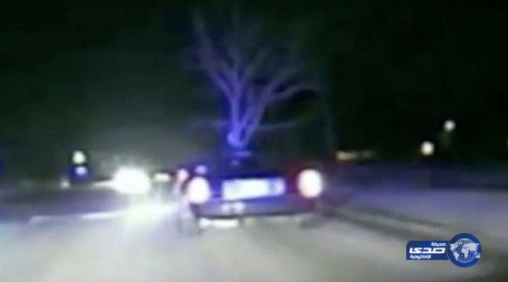 بالفيديو.. لحظة اعتقال امرأة والسبب شجرة!