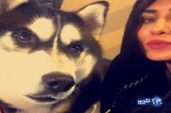 حتى الكلب يأخذ سيلفي!..