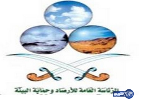 الأرصاد تنفي مزاعم أميركية عن سيول جارفة