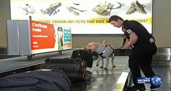 6 ليمونات تتسبب بترحيل امرأة من نيوزلندة