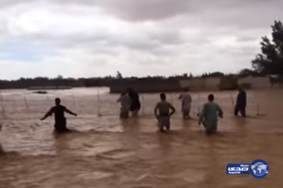 بالفيديو.. سعودي في القريات ينقذ أغنامه بمبلغ 5 آلاف ريال