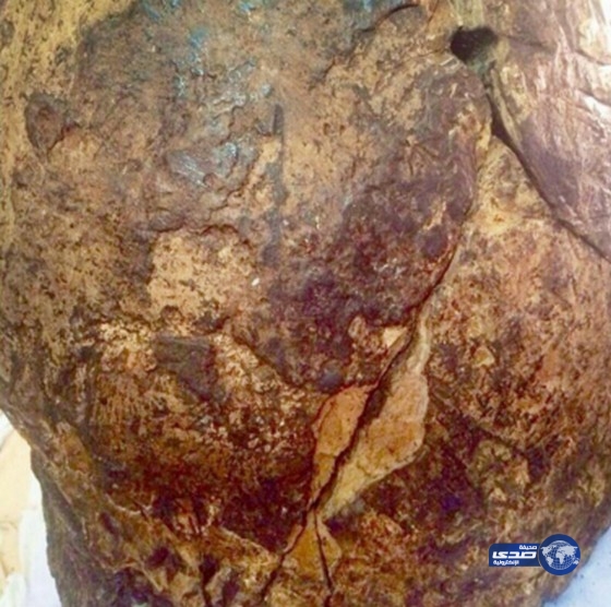 يمنيان خرجا للصيد.. فعادا بـ30 مليون ريال!