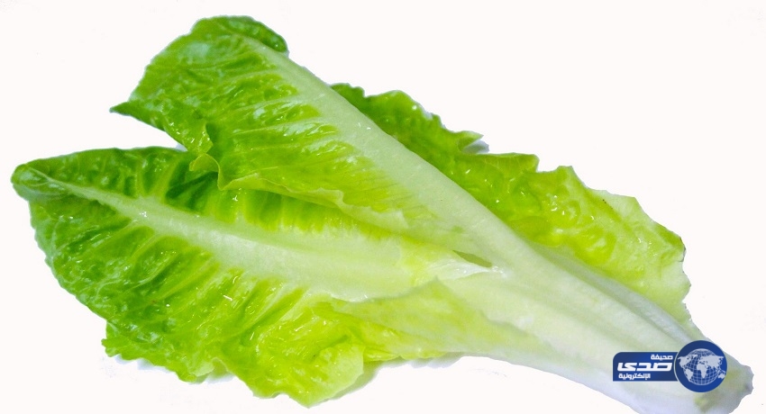 هذه النبتة لزيادة الخصوبة والقدرة الجنسية