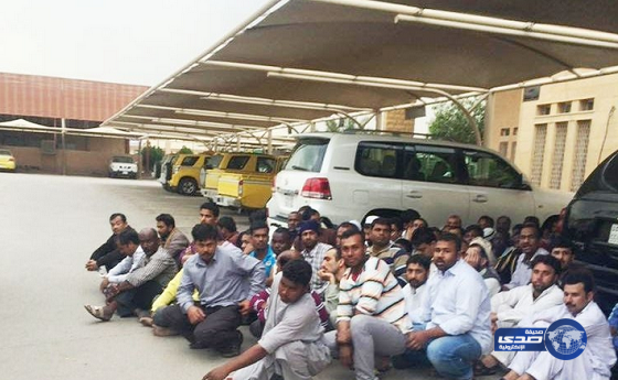 أمانة الرياض تضبط “77” عاملاً مخالفًا لنظام العمل