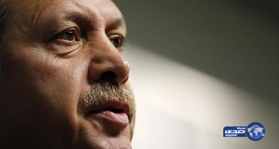 أغنية تسخر من أردوغان تتسبب في استدعاء السفير الألماني في أنقرة