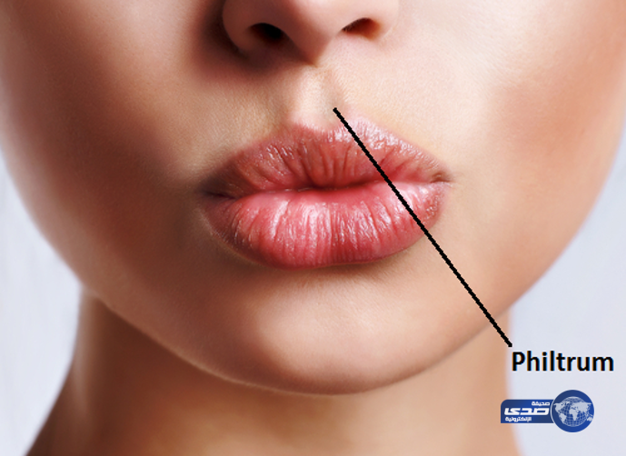 ماهي وظيفة هذا الجزء بين أنفك وشفتيك؟