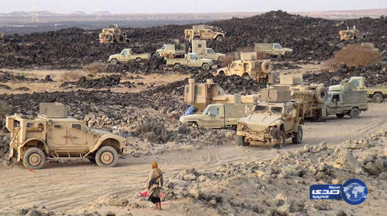 تفكيك أكبر شبكة إرهابية تابعة للمخلوع في مأرب