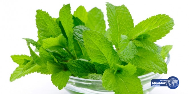 8 أطعمة تدمر رغبتك الجنسية.. تجنبها