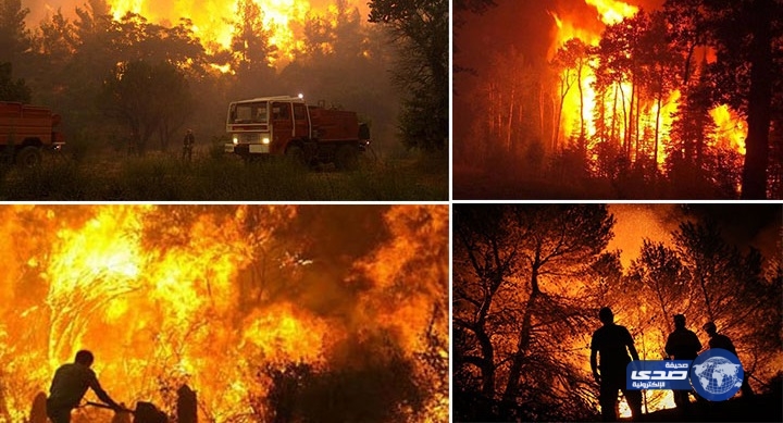 الحرائق تجبر إندونيسيا لإعلان حالة الطوارئ 3 أشهر