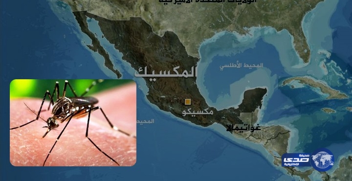 المكسيك: إصابة 11 امرأة حامل بفيروس زيكا