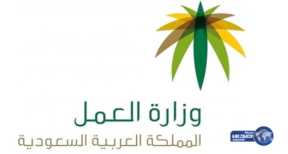 تنظيم جديد لـ”وزارة العمل” يحد من الاستقدام ويتيح الفرص الوظيفية للمواطنين