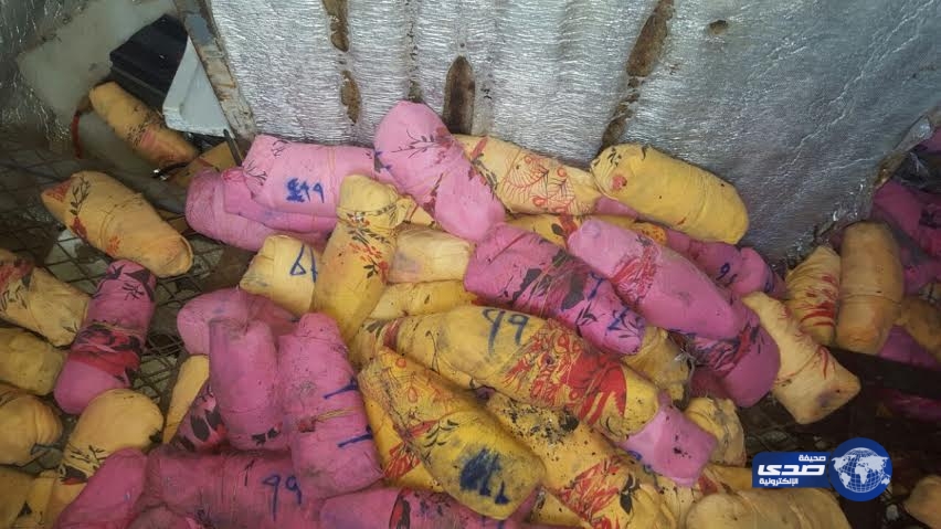 بالصور.. ضبط 14 مخالفا و 1600 حزمة قات وسلاح في حملة أمنية بجازان