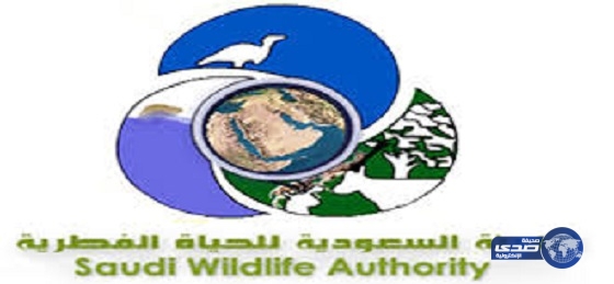 هيئة السعودية للحياة الفطرية تعلن عن وظائف للسعوديين