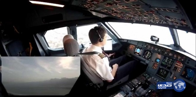 نسر يتسبب بسقوط طائرة ومقتل 3 أشخاص