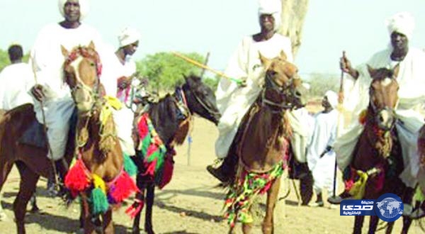 حليب الفرس هو الأقرب لحليب الأمهات وبديل مناسب له