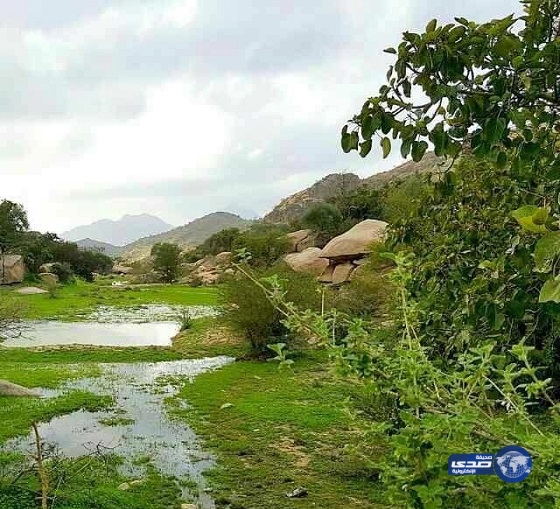 بالصور.. شلالات الأمطار تشكل لوحات ساحرة بقرى بني مالك “الحجاز”