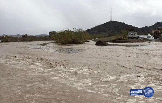 سيول الطائف تحتجز 16 شخصاً و40 سيارة