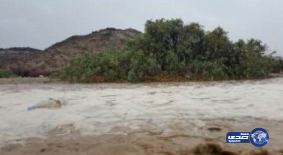 أمطار غزيره اليوم الجمعة على بيشه