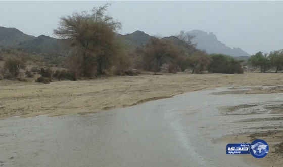 باالصور: سهول بللسمر وبللحمر وبني شهر وشهران تشهد أمطارا غزيره