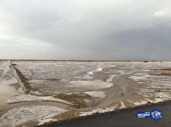 بالصور والفيديو : ( صدى ) تنقل أمطار خدان برنية