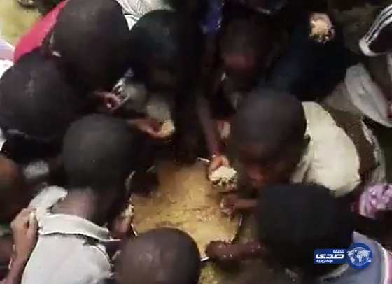 بالفيديو .. شاهد الجوع في أفريقيا 10 ثواني فقط ينتهي الأكل