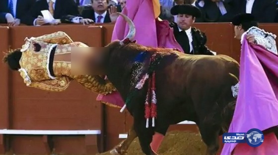 فيديو..بحضور ملك اسبانيا “السابق” ..قرن ثور يخترق المحظور للـ”ماتادور”