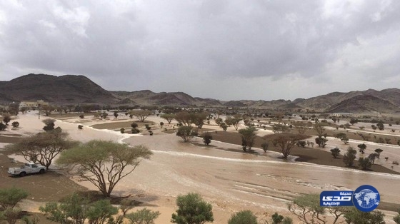 بالفيديو والصور: أمطار مويطية ظهر اليوم الأربعاء‎