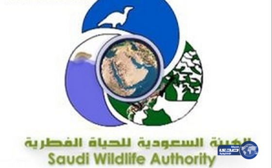 وظائف شاغرة بالهيئة السعودية للحياة الفطرية
