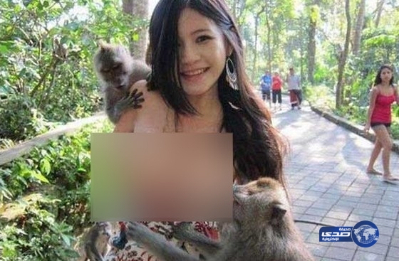 بالصور.. قرد يتحرش بـ “عارضة ازياء” في أندونسيا