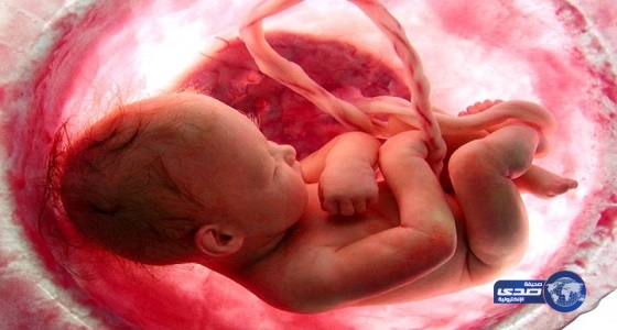 الأطباء وصفوها بالمعجزة.. وُلد في بولندا  بعد موت أمه سريريا بـ55 يوما