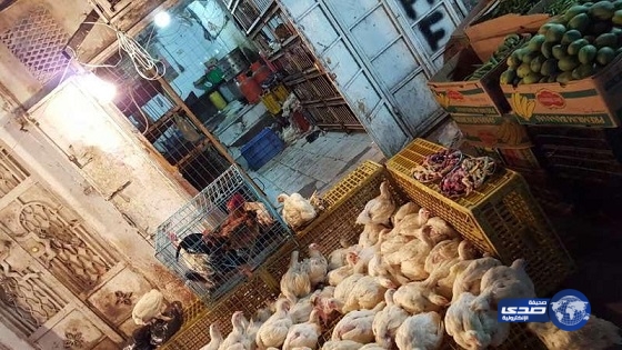 بالصور.. مصادرة لحوم فاسدة بمكة