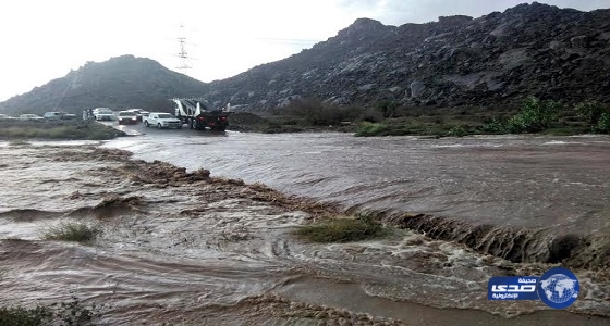 بالفيديو: هطول أمطار غزيرة على محافظة “العرضيات”