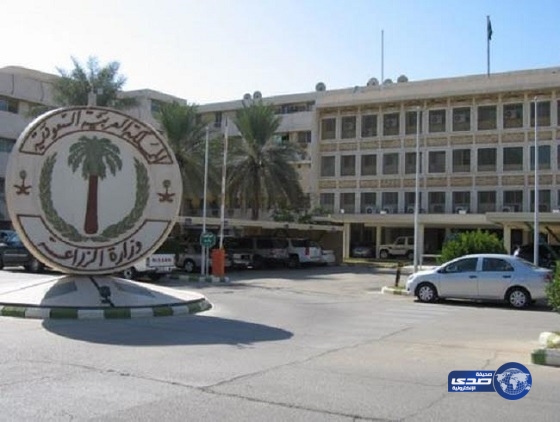 “الزراعة ” تعلن توفر 283 وظيفة بإدارة الثروة الحيوانية