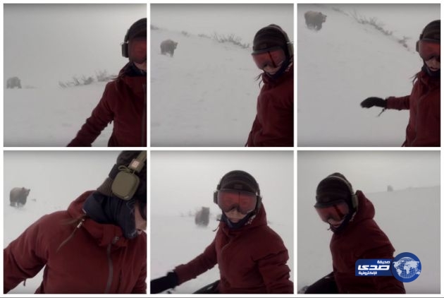 بالفيديو : فتاة تنجو من دب كاد ان يفترسها