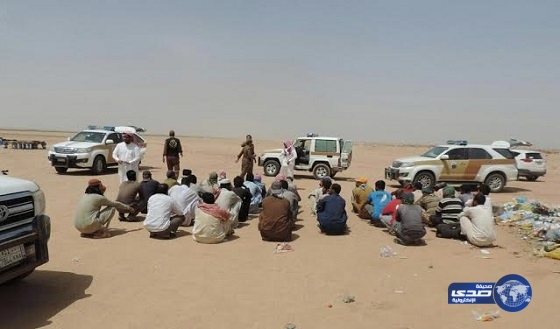 بالصور.. جولة تفتيشية لعمل الدواسر تضبط 48 مخالفًا في مناطق نائية