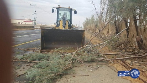بالصور:ادارة كوارث بلدية النقيع تنزح المياه والأشجار في عدة مواقع بعد هطول الأمطار