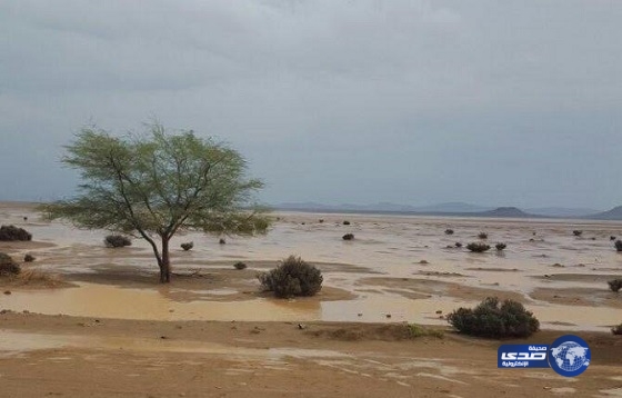 “مدني المدينة” ينفي إطلاق صافرات الإنذار ويؤكد انحسار الحالة المطرية