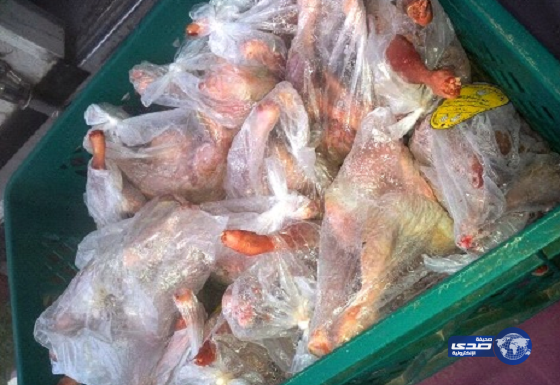 أمانة الباحة.. إتلاف دجاج غير صالح للاستهلاك الآدمي