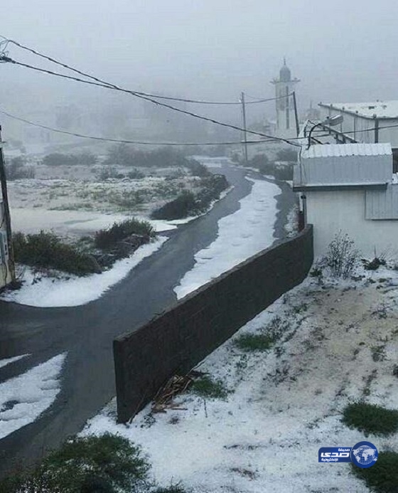 بالصور.. البرَد يغطي الأراضي والمزارع في تنومة والنماص