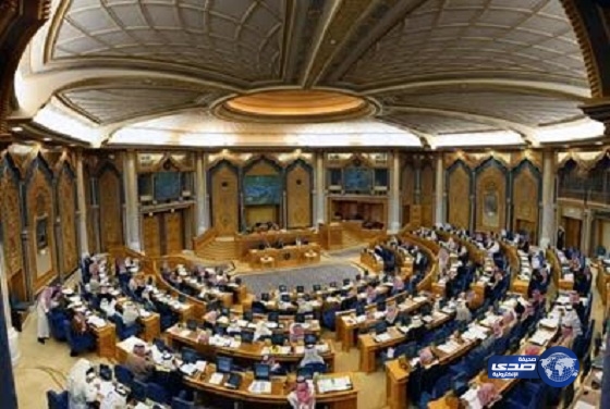 عضو شورى يوجه إتهامات لبعض السفراء بالتفرغ للمجاملات وتكوين علاقات مع رجال الأعمال