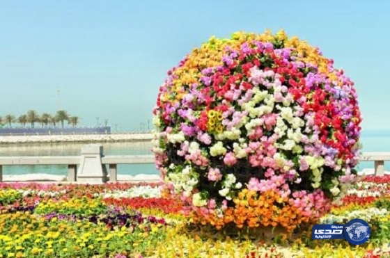 “مغردة” تحقق أمنيتها بزيارة “مهرجان الورد”